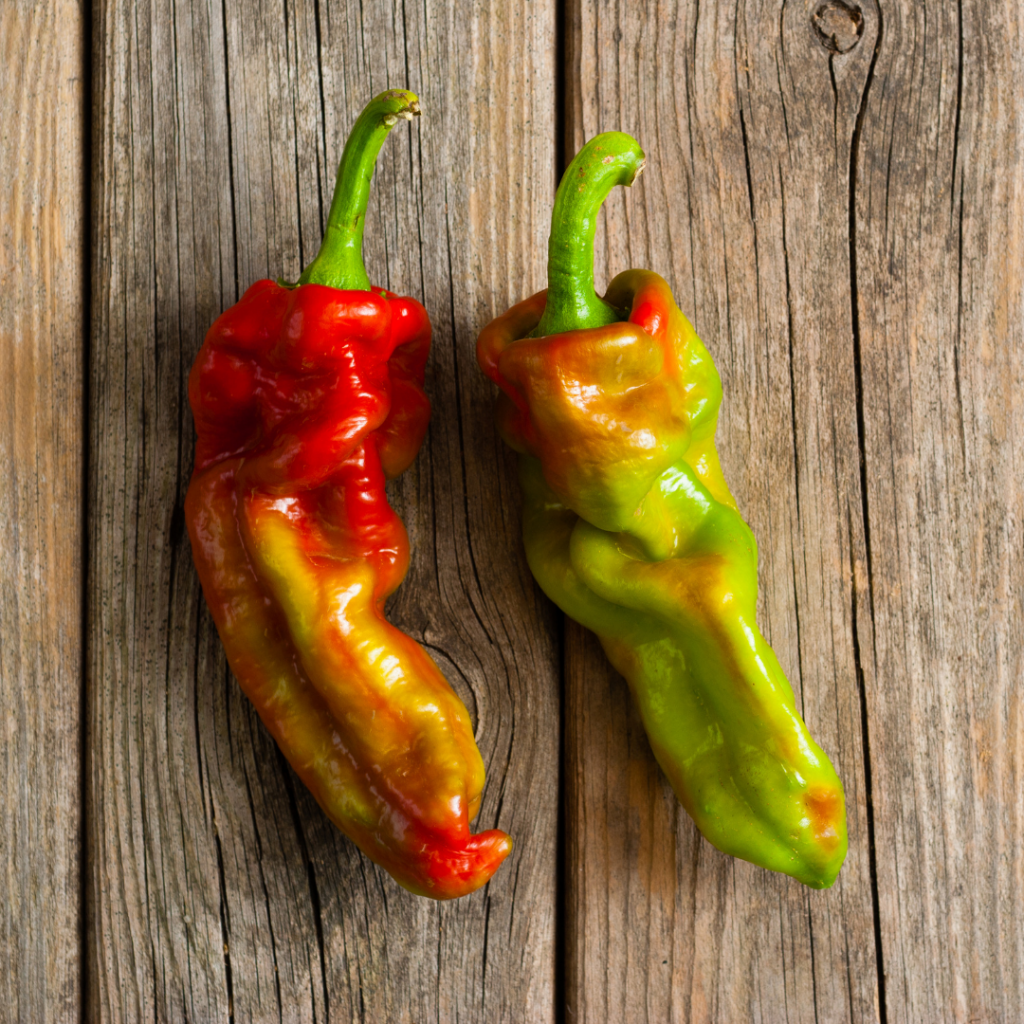 Ghost Pepper Sauce Scoville How Hot Is it? • JarKitchen